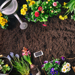 Imagen para la categoría JARDINERIA